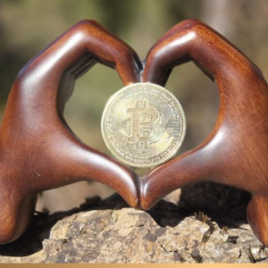 Modul 4: Individuelle Beratung oder Firmenberatung