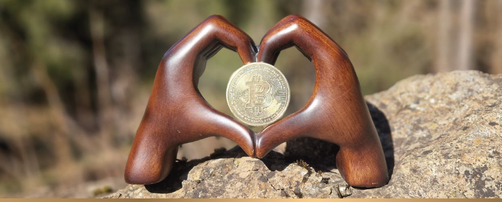 Bitcoin Academy Schweiz - BTC ACADEMY .ch